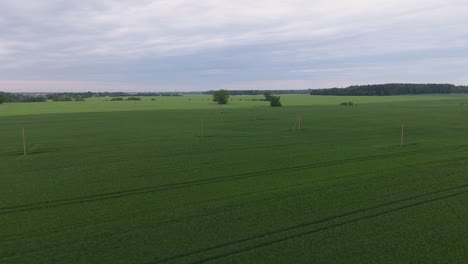 Power-Supply-Pole-Lines-In-Green-Agricultural-Fields