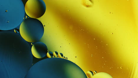 real close up oil bubbles in water rotation with color gradient abstract mixing background