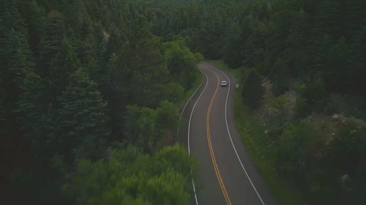 Auto che guida su una strada panoramica lungo la fitta foresta verde a Denver, Colorado, USA.