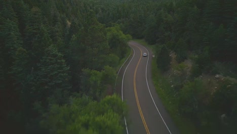 Car-Driving-On-Scenic-Drive-Along-The-Dense-Green-Forest-In-Denver,-Colorado,-USA