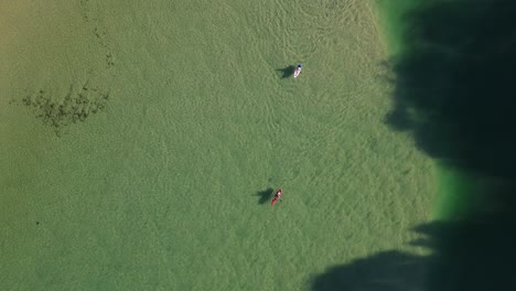 a pair of kayaks glide through the calm clear waters of a ocean estuary