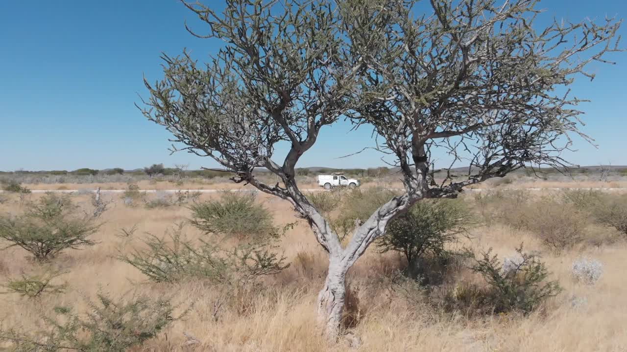 drones de alta altitud imágenes de video aéreo del interminable desierto de namibia, áfrica. drones volando hacia adelante y hacia atrás sobre la arena y los árboles del desierto con cielos azules y montañas en el horizonte.