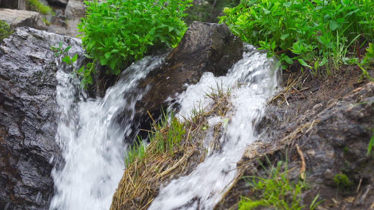 Water pouring past rocks and grass