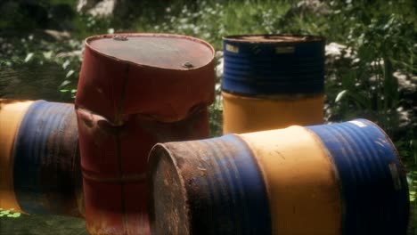 Rusty-barrels-in-green-forest