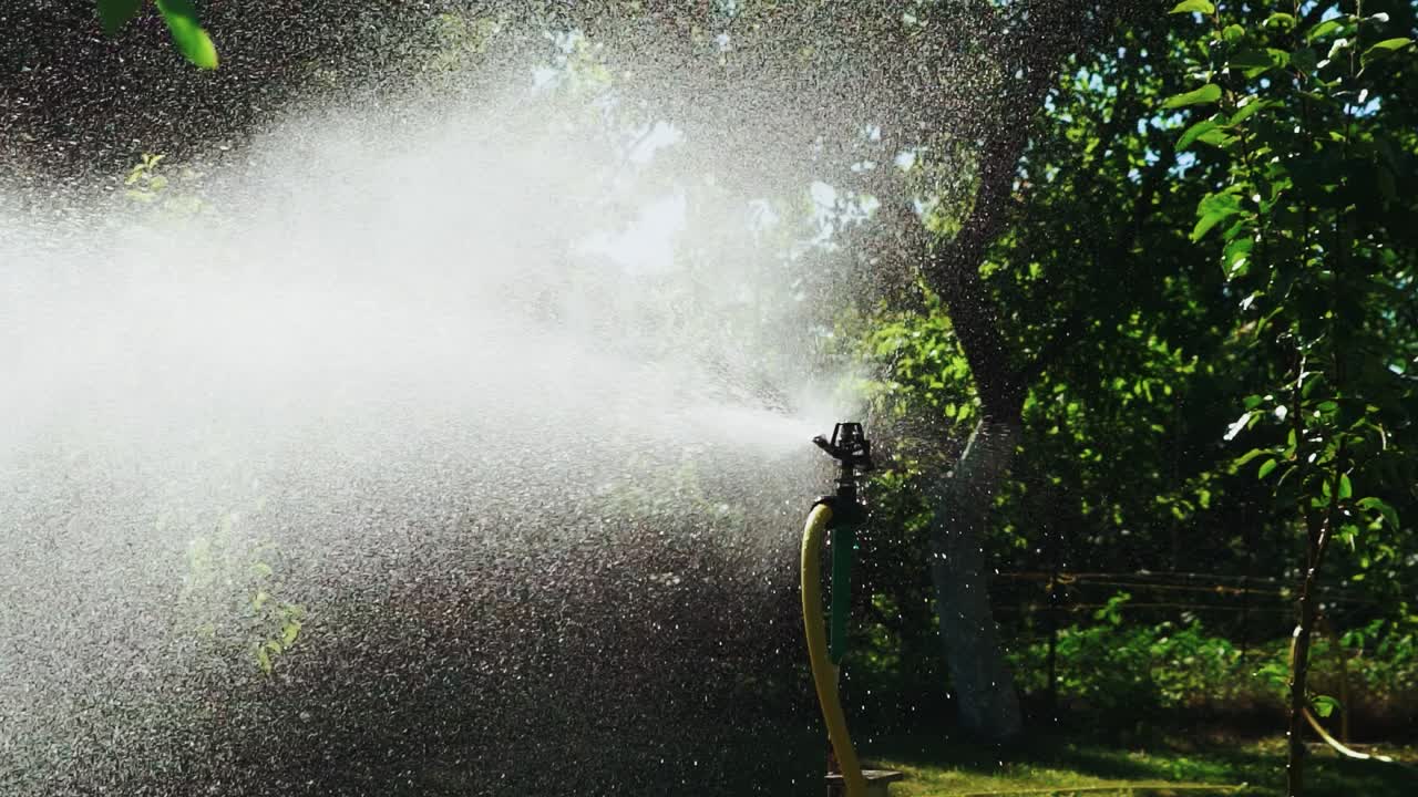 An automatic watering system with a yellow water supply hose is intensively working in the garden near a tall tree, wetting the ground on hot days.