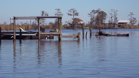 escenas a lo largo del pantano en louisiana 1