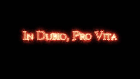 en dubio pro vita escrito con bucle de fuego.