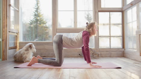woman in bright sunroom do cat-cow yoga stretches with pet dog and cat nearby