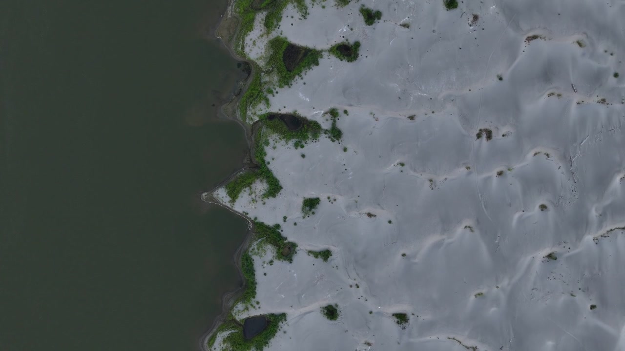 Fiume Po vicino a Isola Serafini, Monticelli d'Ongina, Piacenza, Emilia-Romagna, Italia, che rivela banchi di sabbia alluvionali esposti, contrazione del canale, area bagnata ridotta e gravi condizioni di siccità durante il