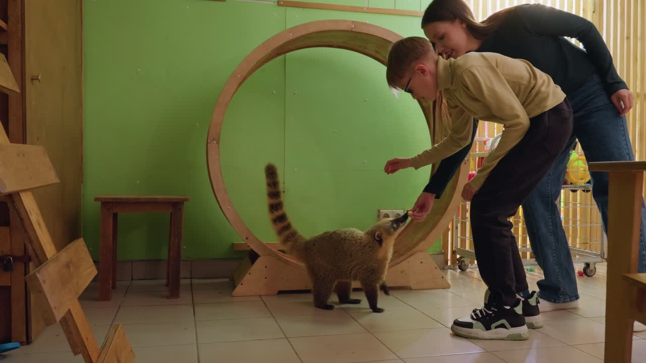Persone interagiscono con un gatto: un volontario su una sedia a rotelle si sporge con un dolcetto mentre un assistente e un adottante osservano. La calda luce del sole filtra attraverso le persiane di bambù, il pavimento piastrellato e le pareti verdi creano un ambiente accogliente, con un tocco delicato.