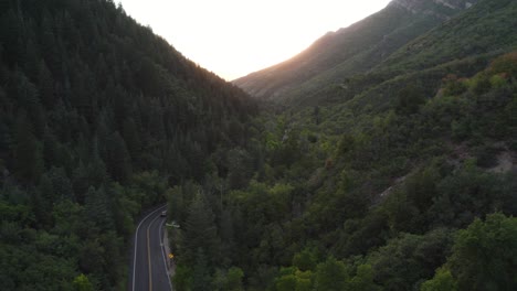 美麗的猶他自然夏季風景 峡谷路在米爾克里克,盐湖城