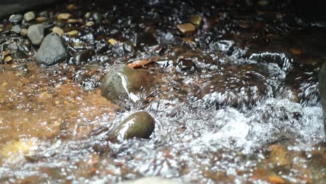 rocky stream bed scene. close up, gimbal