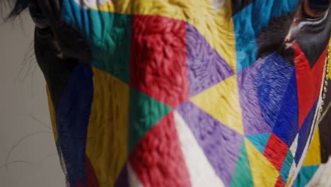 close-up of a colorful painted cow