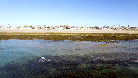 Aerial,-ascent-over-the-coastline-at-Puerto-Peñasco,-Rocky-Point,-Gulf-of-California,-Mexico