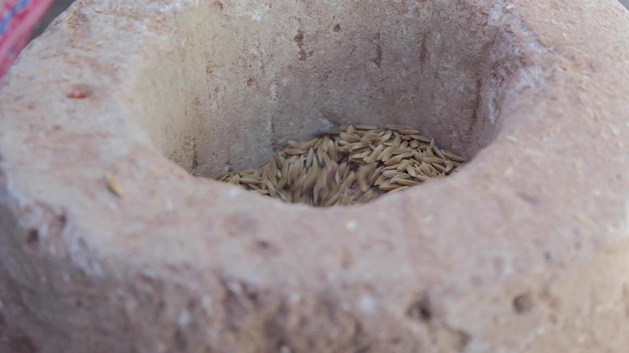동남아시아 동티모르의 수확기 동안 전통적인 타마 타마 방법으로 쌀을 가공하는 모습