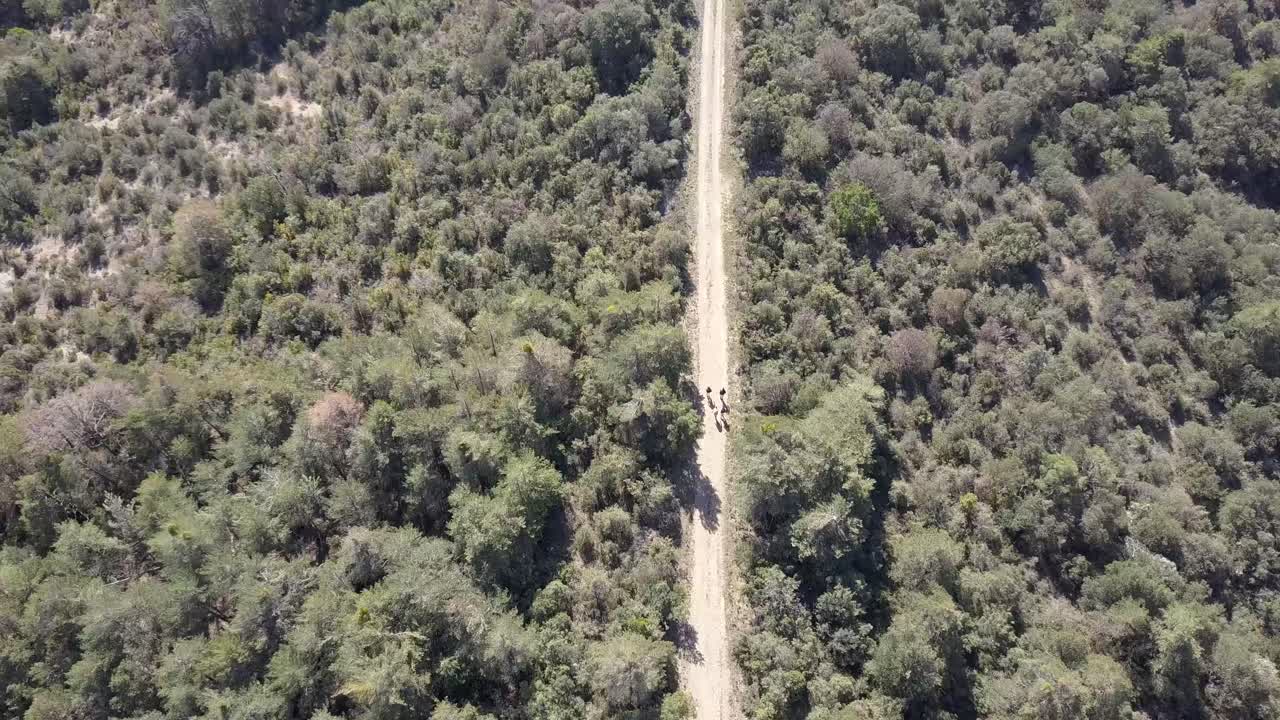 vista aérea de personas caminando por un hermoso sendero de montaña en españa