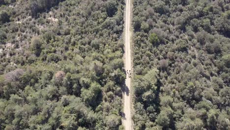 Aerial-view-of-people-hiking-along-a-beautiful-mountain-trail-in-Spain