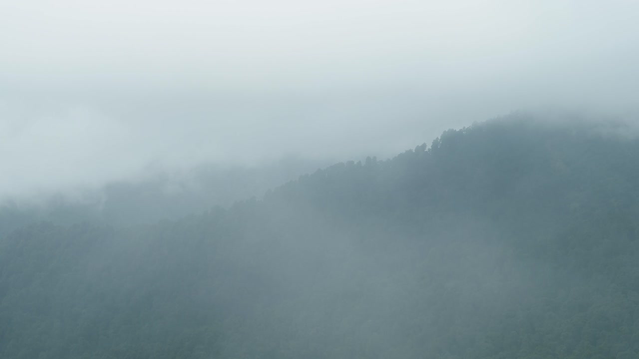 네팔, 히말라야 산맥의 산림 위에 구름이 빠르게 굴러가는 시간 스, 열대 열대 우림 나무 위에서 빠르게 어지는 구름 스.
