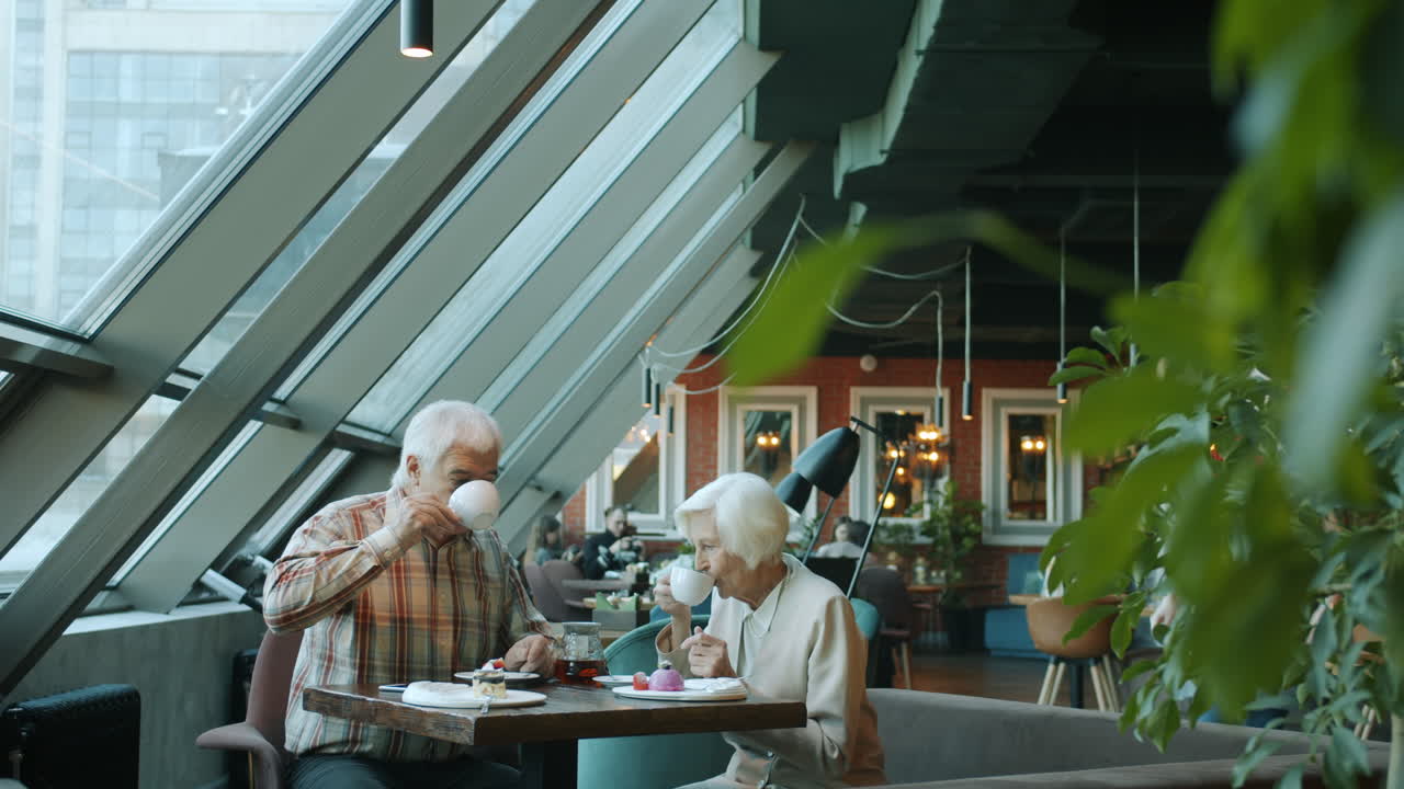 Elderly Couple Enjoying Lunch in a Modern Cafe