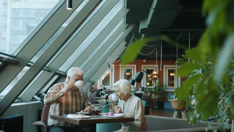 elderly couple enjoying lunch in a modern cafe