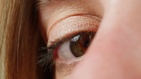 primer plano del ojo de una mujer.