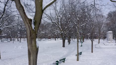 Cámara-Siguiendo-Un-Camino-En-Un-Parque-Público-En-Invierno