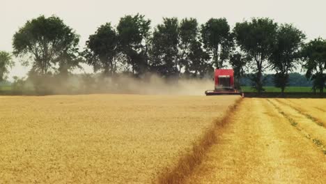 Cosechadora-De-Maquinaria-Agrícola-Trabajando-En-El-Campo