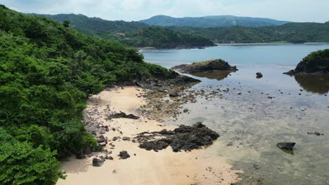 Vegetation-Mit-Felsigem,-Goldenem-Sandstrand-Am-Puraran-Strand-In-Baras,-Catanduanes,-Philippinen