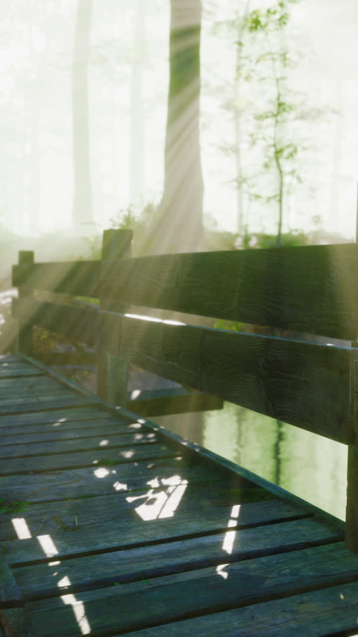 나무 를 통해 빛나는 빛 을 가진 안개 숲 의 나무 다리