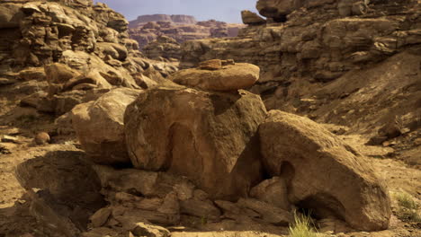 antiguas rocas y formaciones únicas muestran la belleza de los paisajes desérticos