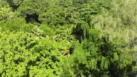 塞舌爾群島拉迪格島 (la digue) 的安斯科科科 (anse coco),小安斯 (petit anse) 和大安斯 (grand anse) 的白色海灘和藍色水域的空中景色