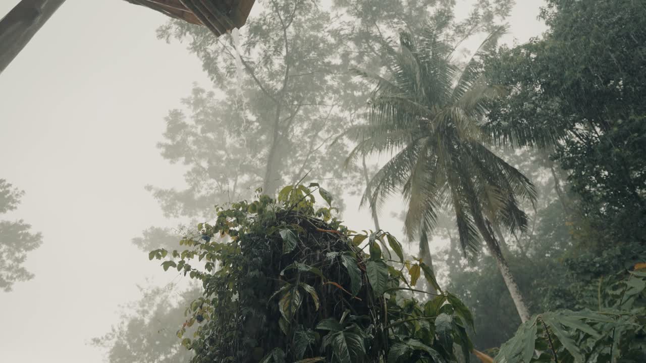 fuertes lluvias caen sobre árboles tropicales con cielo brumoso en costa rica