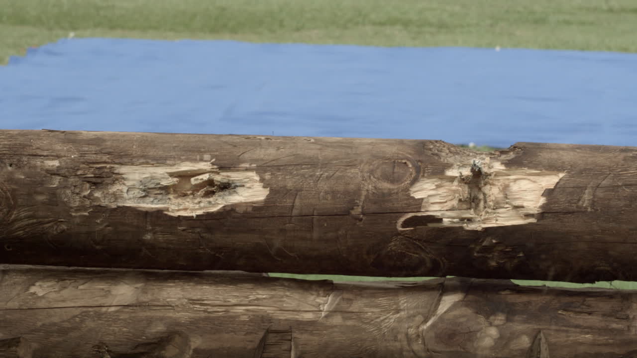 총알이 배경에 있는 나무 울타리와 블루스크린에 특수 효과를 친다