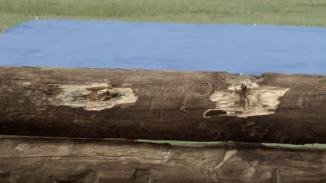 bullet hits special effect over a wood fence and a bluescreen in the background