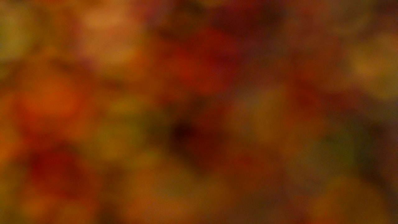 la luz difumina el fondo bokeh abstracto