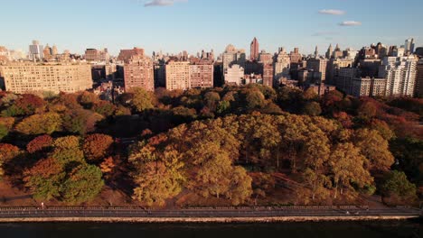 aerial view of new york city park in autumn