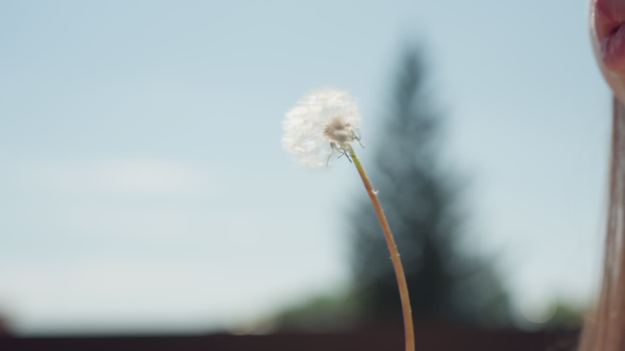 Side view of young lady gently blowing dandelion puff with lips slightly parted, holding delicate stem near face under bright sunlight, with clear blue sky and roofline blurred in background