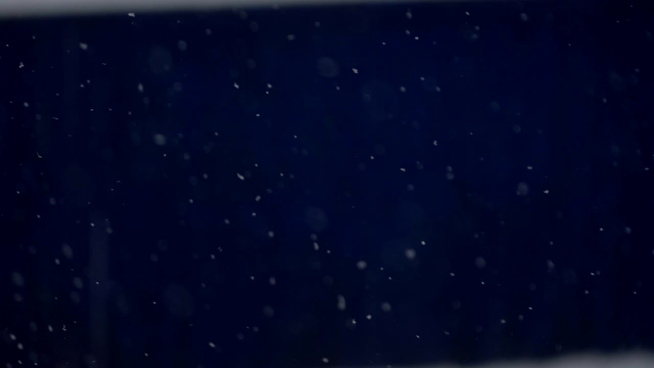 추상적인 눈 배경. 눈 색 배경. 파란색 배경에 눈 텍스처