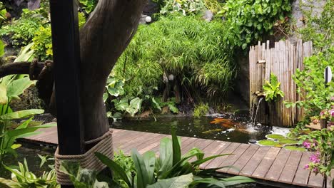 tropical garden with koi pond and water feature