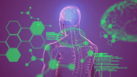 Animation-of-chemical-formulas-and-data-processing-over-rotating-human-body