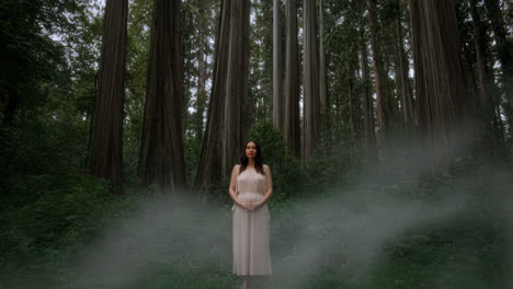 woman in elegant dress in a redwood forest with mist