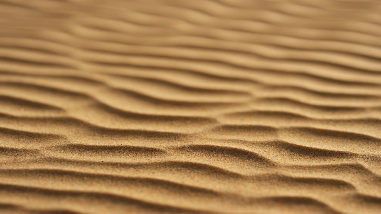 Golden Sand Ripples Closeup Desert Texture Under Warm Sunlight, Cinematic Shallow Depth Of Field Revealing