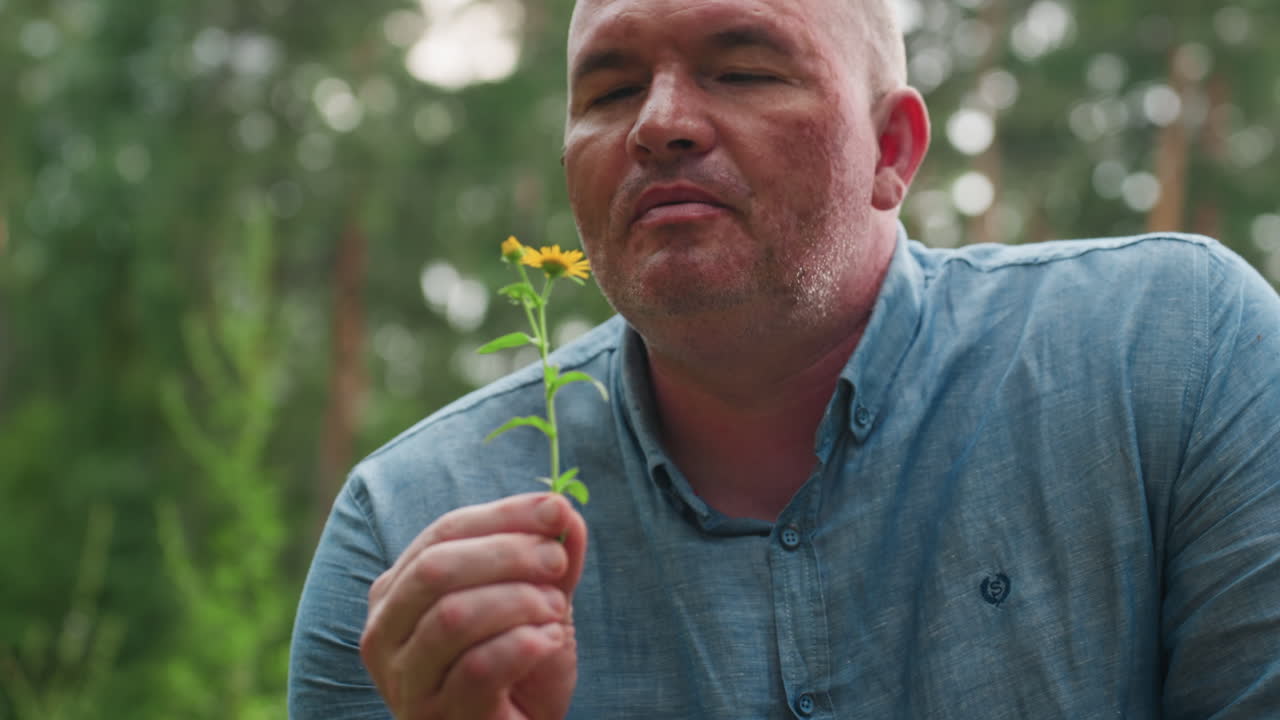 Close up dad kneeling in green meadow, gently uprooting yellow wildflower and bringing it close to nose to smell fragrance, expressing appreciation for nature, and beauty of simple countryside life