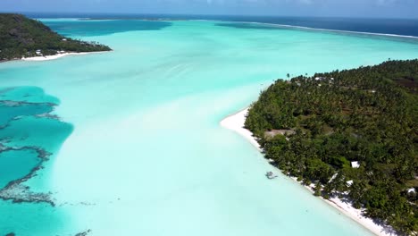 drone view of a white sand beach with shallow water and palm trees in a lagoon of a green tropical pacific island in maupiti, french polynesia.