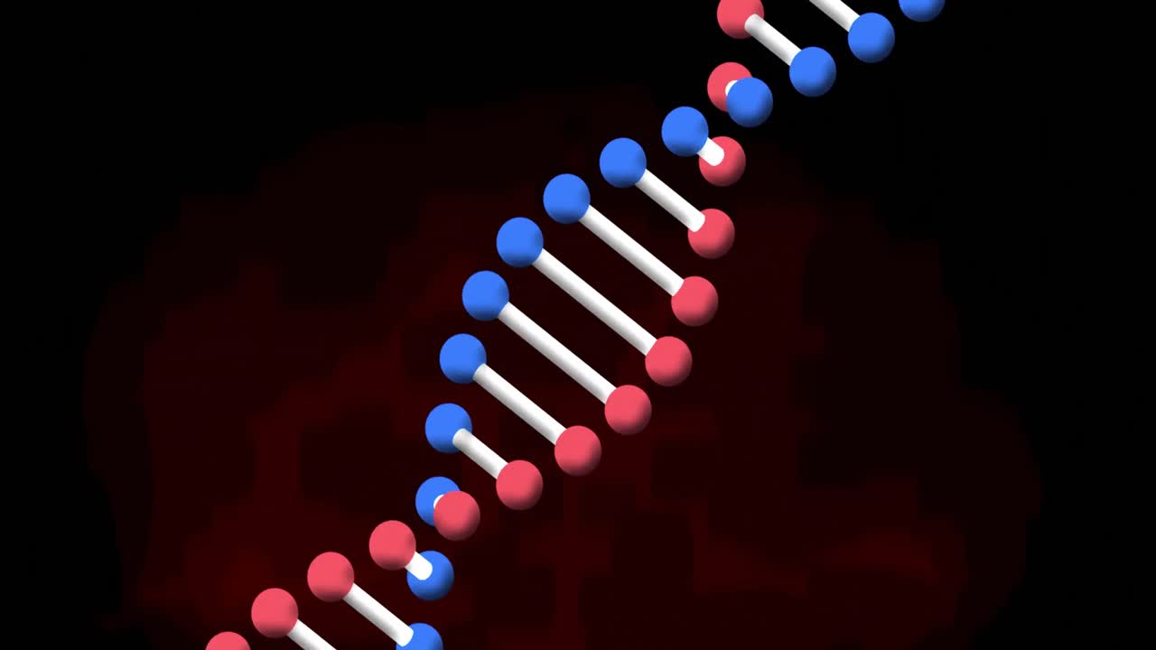 animación de una cadena de adn girando sobre un fondo rojo y negro