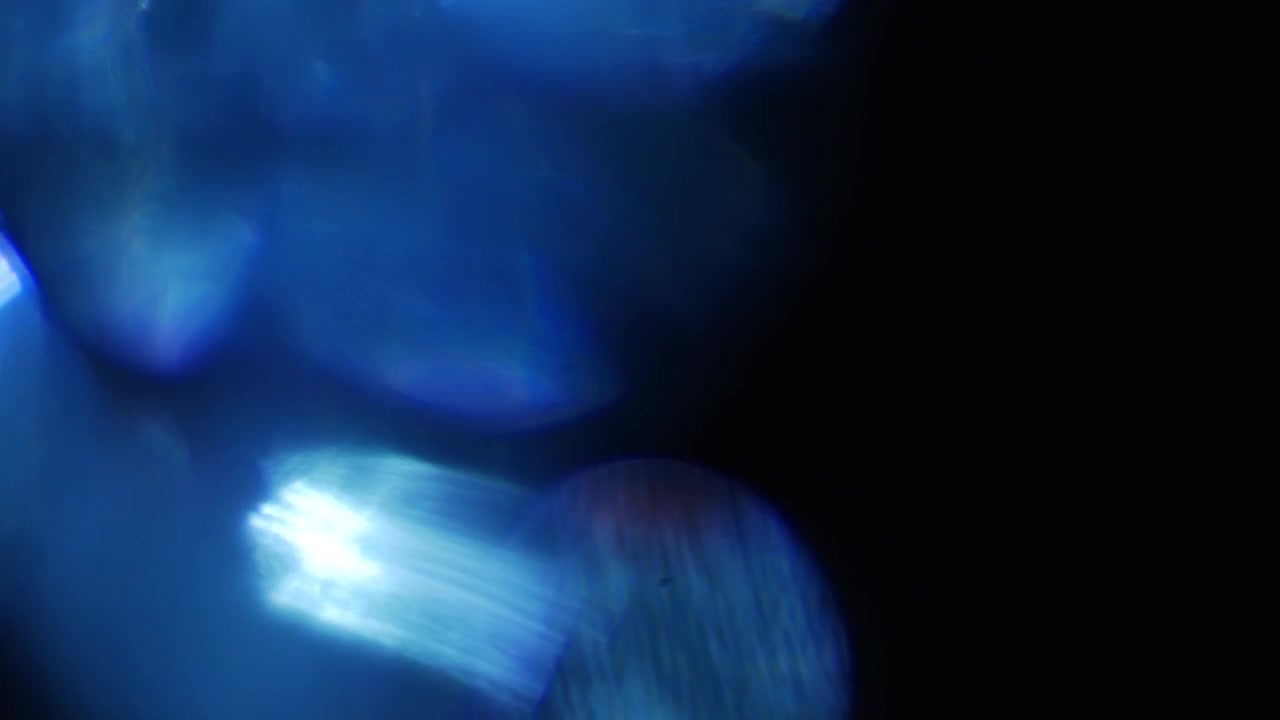 Perdite di luce blu astratte e bagliori dell'obiettivo su sfondo nero