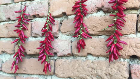 Chiles-Rojos-Picantes.-La-Comida-Picante.-Ingredientes-Organicos