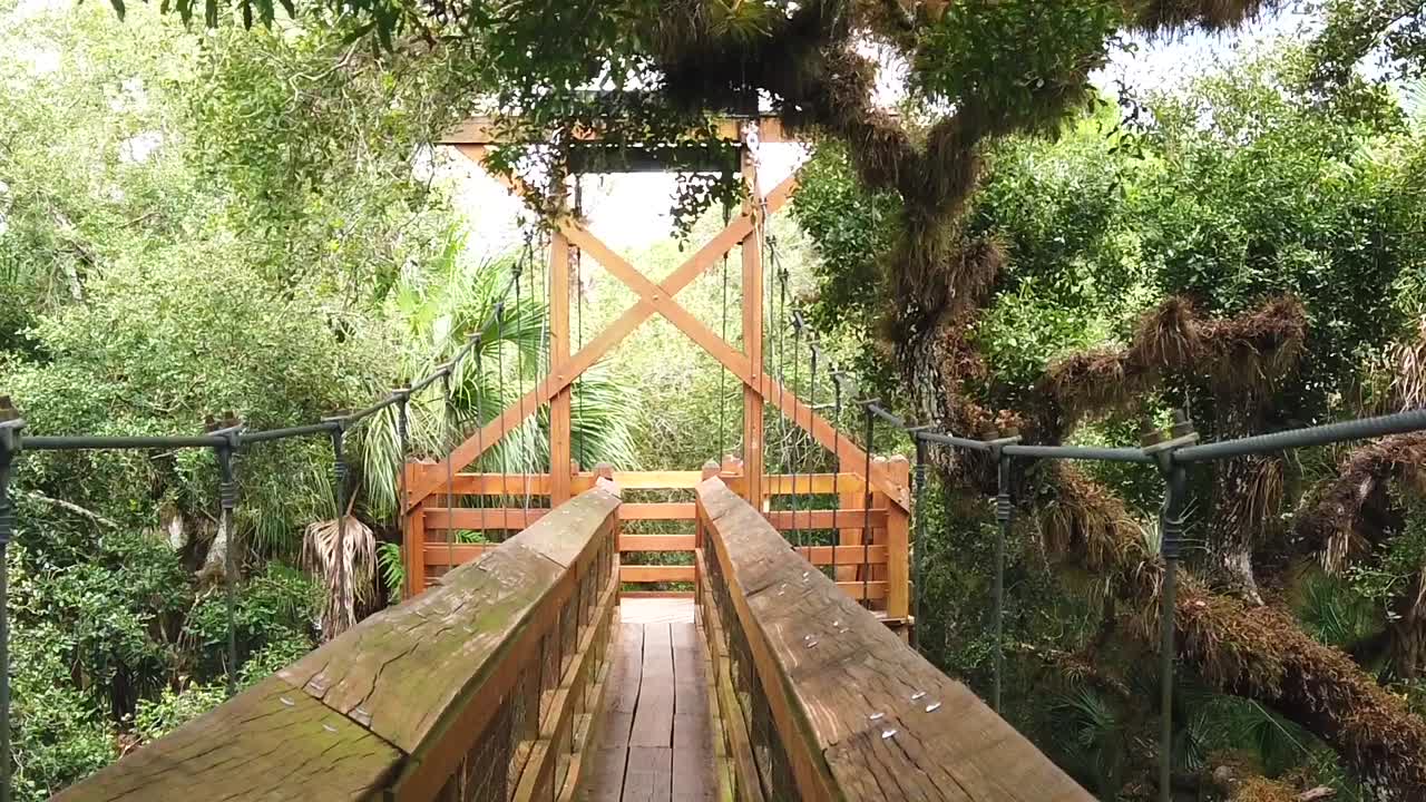 puente de madera en la selva