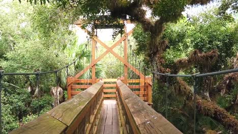 Puente-De-Madera-En-La-Selva