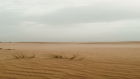 paisaje desértico bajo un cielo nublado